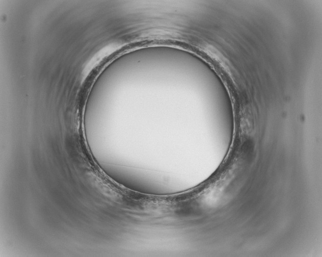 X0000087750973200705211033