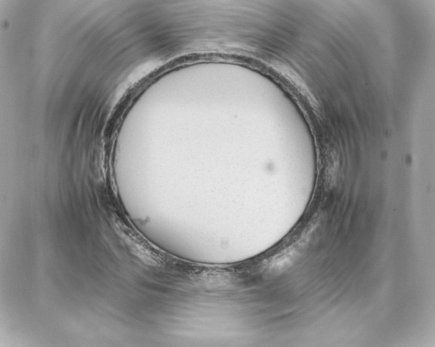 X0000087750974200705211033