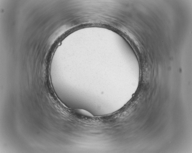 X0000087750975200705211033