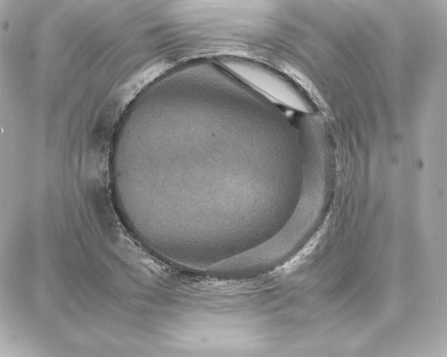 X0000087750977200705211033