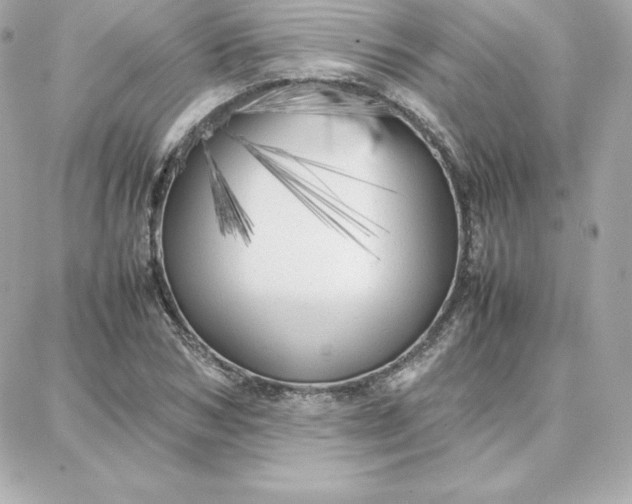 X0000087750978200705211033