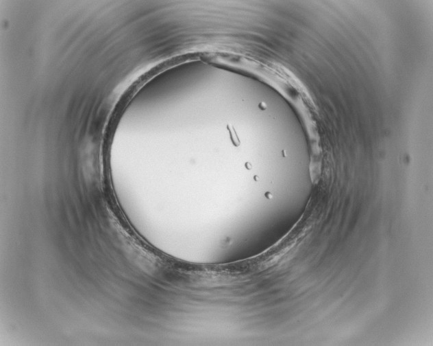 X0000087750980200705211033