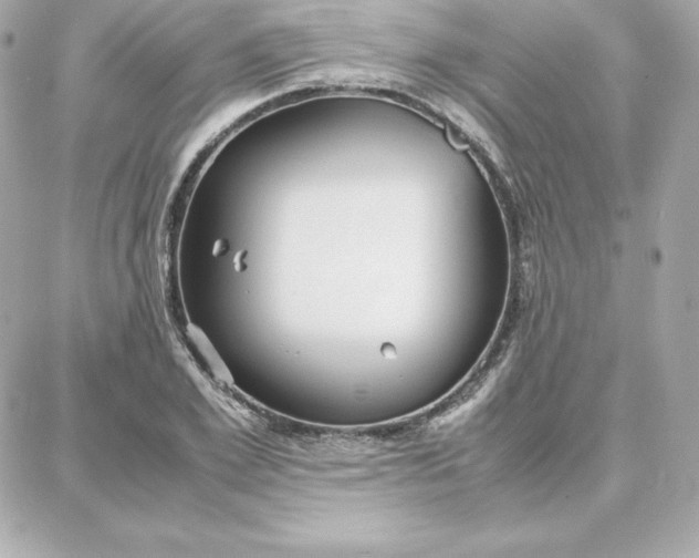 X0000087750981200705211033