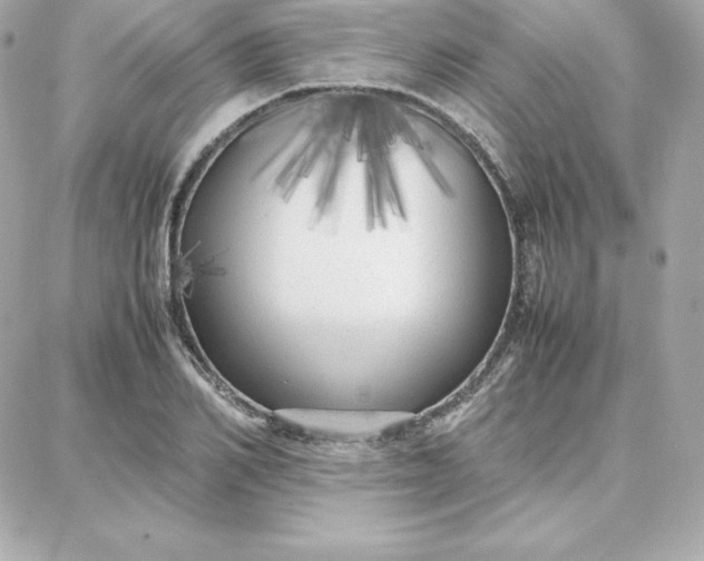 X0000087750982200705211033