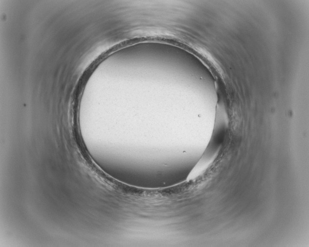 X0000087750983200705211033