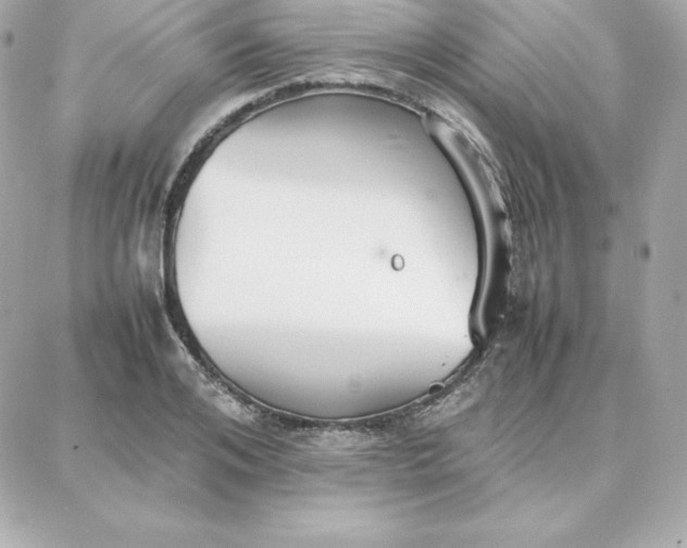 X0000087750984200705211033