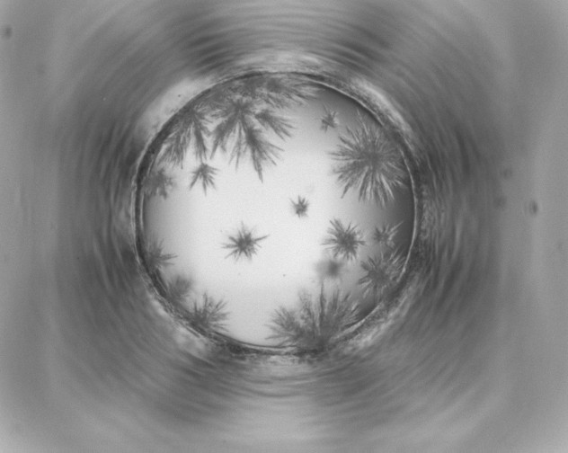 X0000087750986200705211033