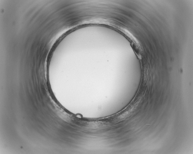 X0000087750988200705211033