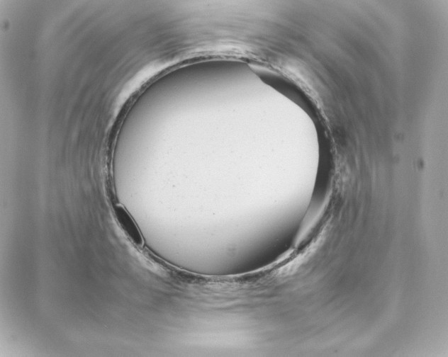 X0000087750989200705211033