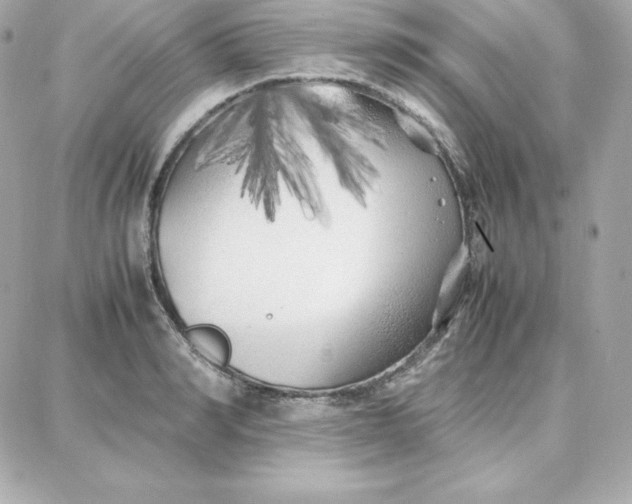 X0000087750990200705211033