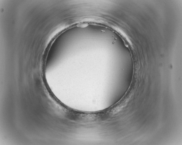 X0000087750991200705211033