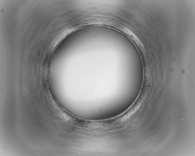 X0000087750993200705211033