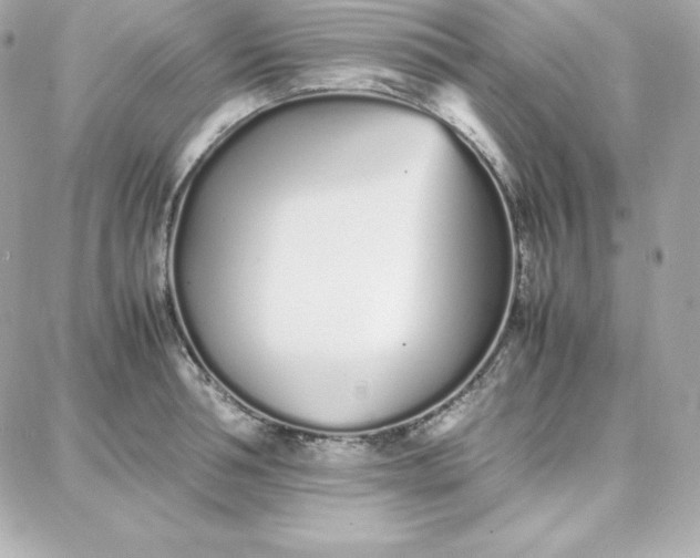 X0000087750994200705211033