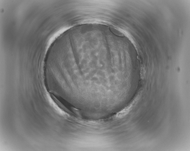 X0000087750995200705211033