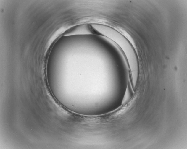 X0000087750997200705211033