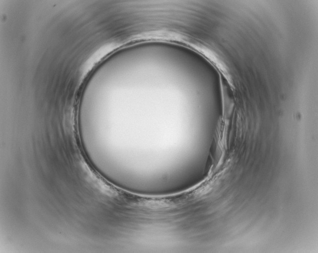 X0000087750998200705211033