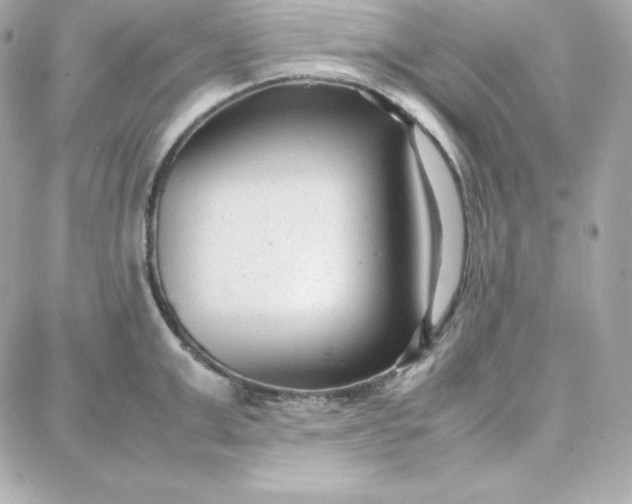 X0000087750999200705211033