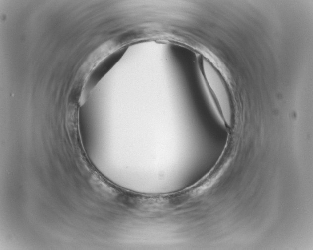 X0000087751001200705211033