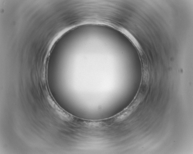 X0000087751004200705211032