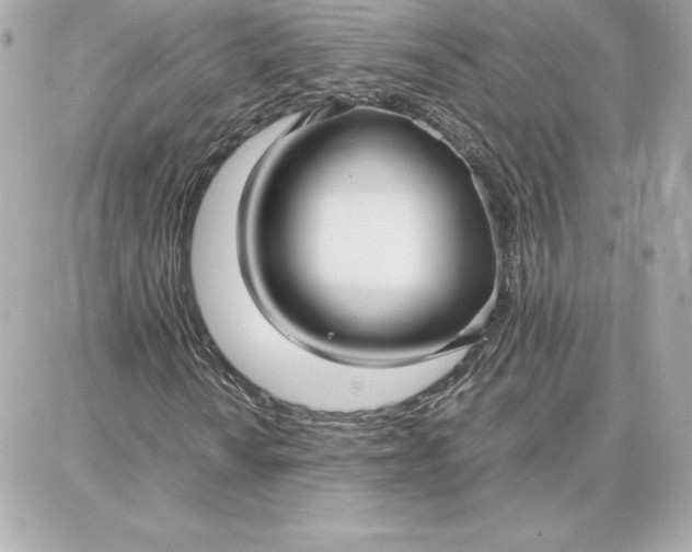 X0000087751010200705211032