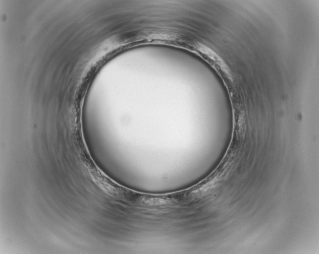 X0000087751027200705211032