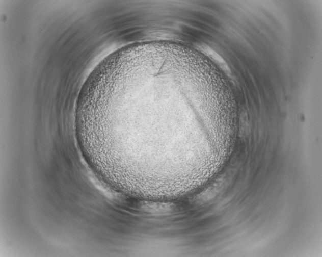 X0000087751039200705211032