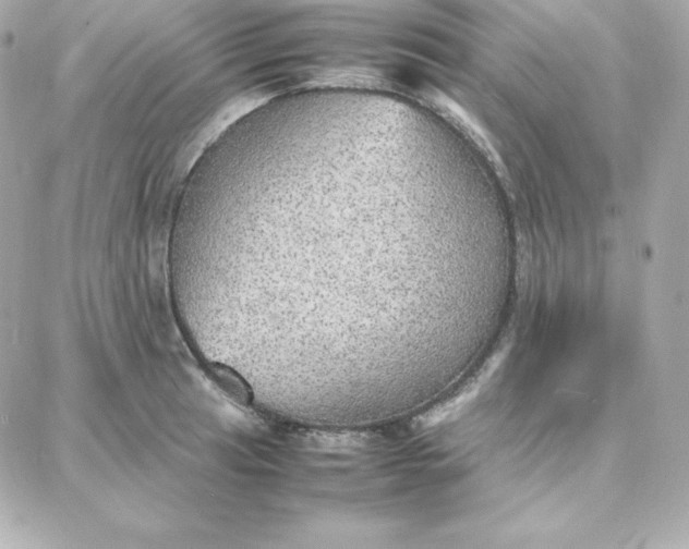 X0000087751041200705211032