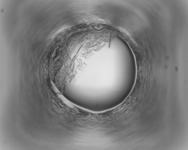 X0000087751063200705211031