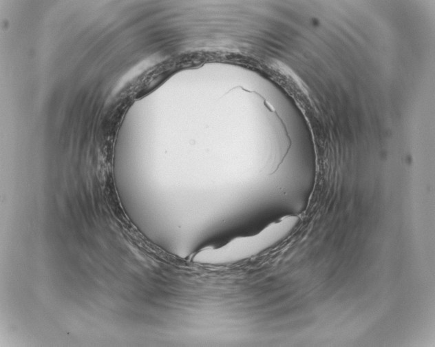 X0000087751064200705211031