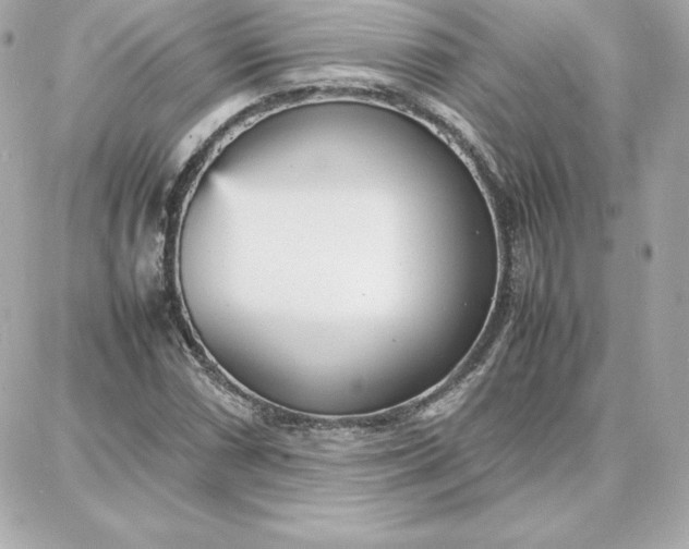 X0000087751066200705211031