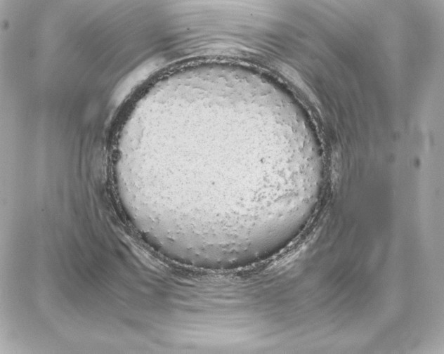 X0000087751067200705211031