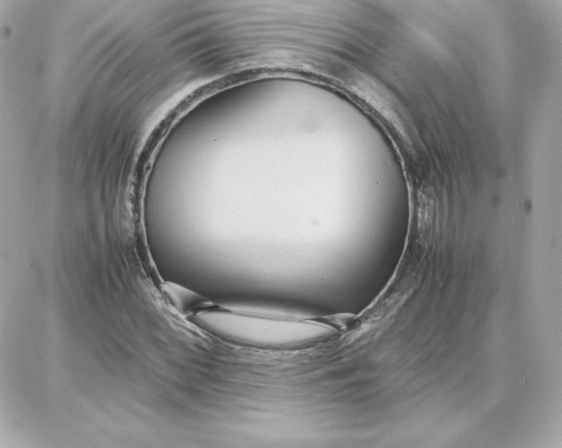 X0000087751068200705211031