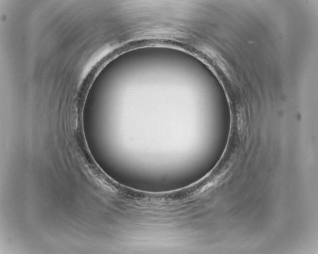 X0000087751069200705211031