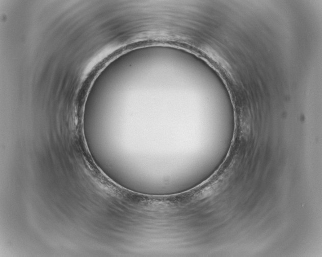 X0000087751070200705211031