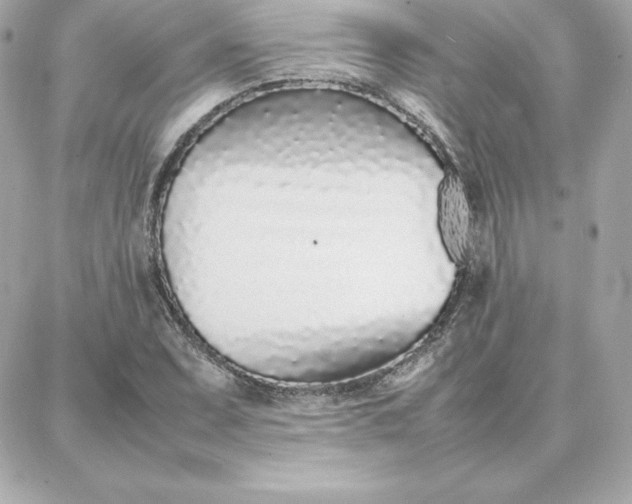 X0000087751071200705211031