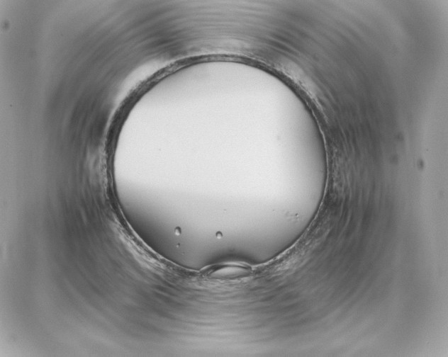 X0000087751072200705211031