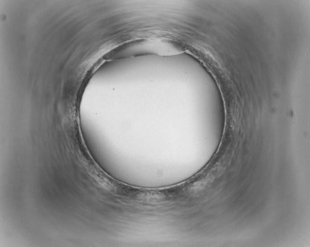 X0000087751073200705211031