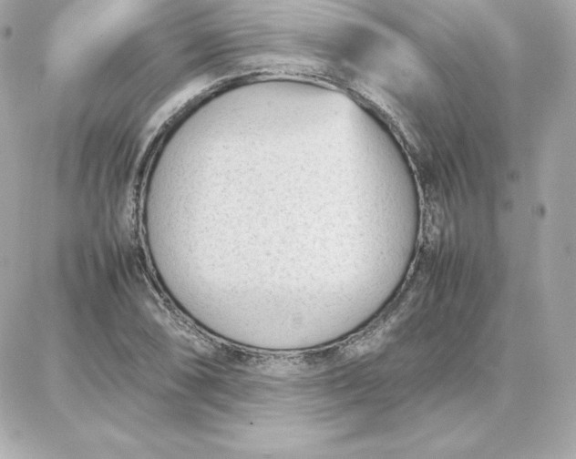 X0000087751074200705211031