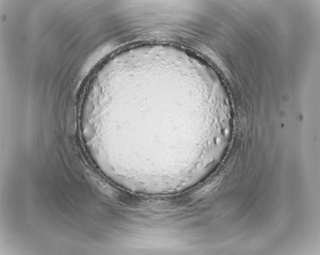 X0000087751075200705211031