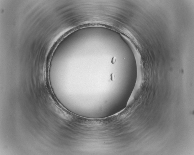 X0000087751076200705211031