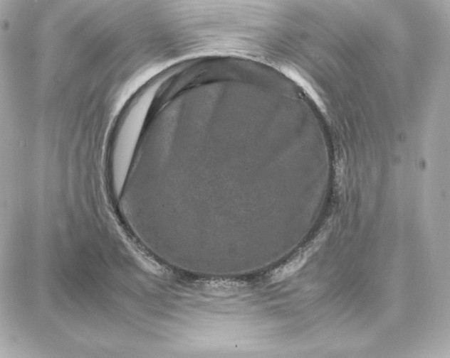 X0000087751077200705211031