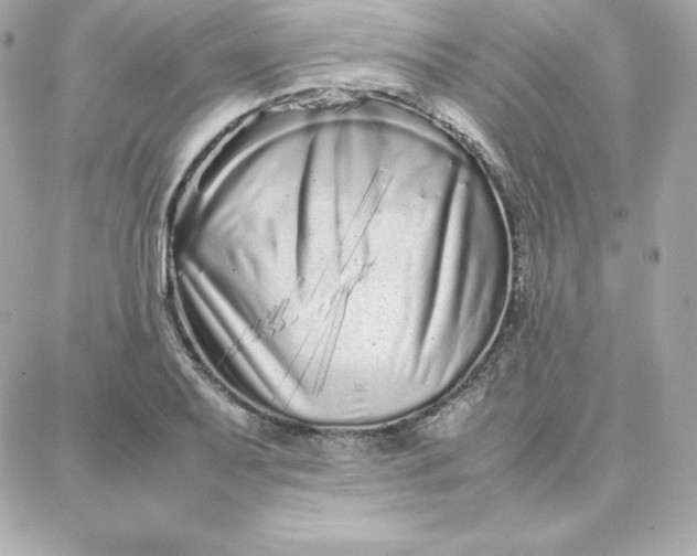 X0000087751079200705211031