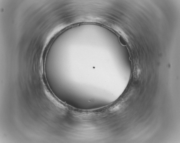 X0000087751080200705211031