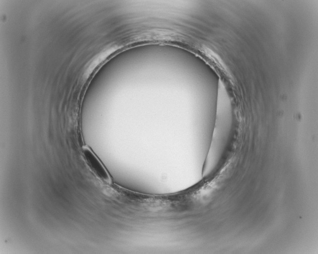 X0000087751081200705211031