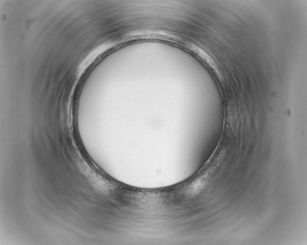 X0000087751082200705211031