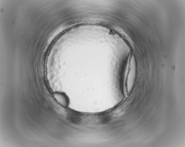 X0000087751083200705211031