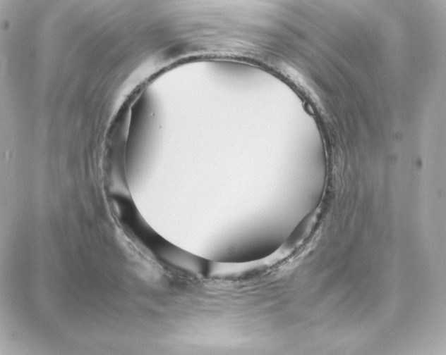 X0000087751085200705211031