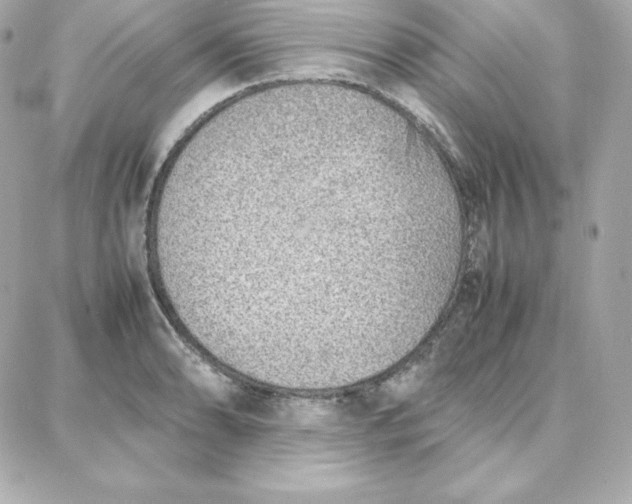 X0000087751086200705211031