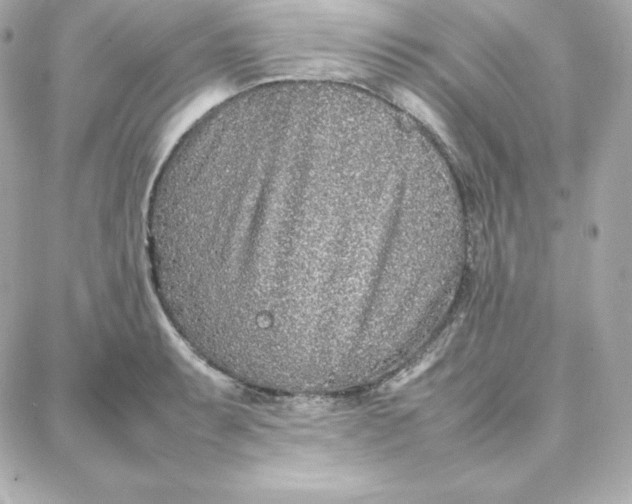 X0000087751087200705211031