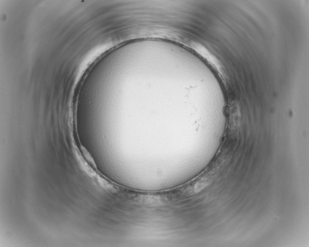 X0000087751088200705211031